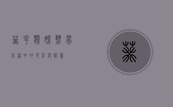 葵花鹦鹉,热带雨林中的色彩与智慧 葵花鹦鹉,热带雨林中的色彩与智慧
