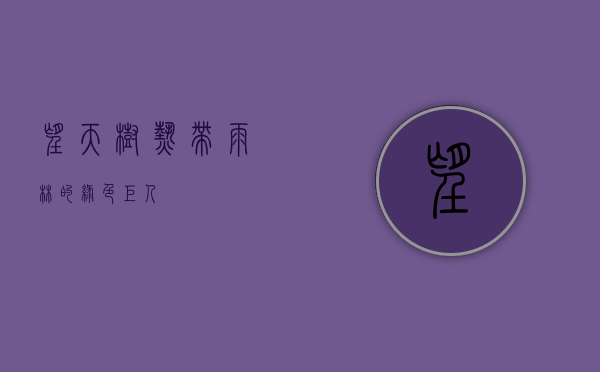 望天树，热带雨林的绿色巨人