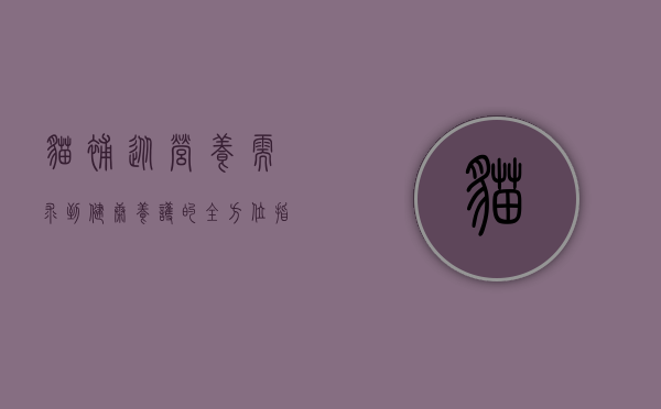 猫补，从营养需求到健康养护的全方位指南