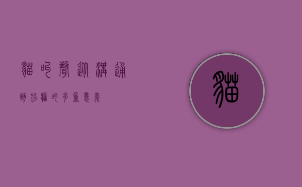 猫叫声，从沟通到治愈的多重意义