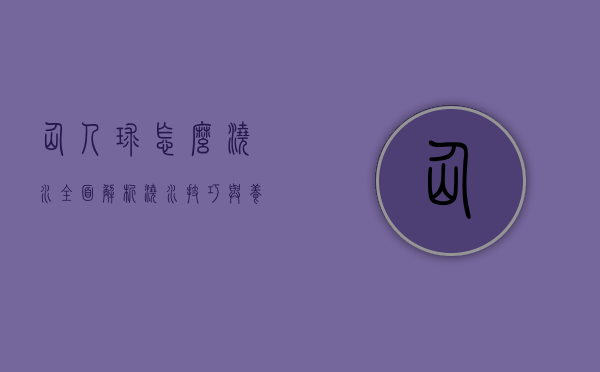 仙人球怎么浇水？全面解析浇水技巧与养护要点