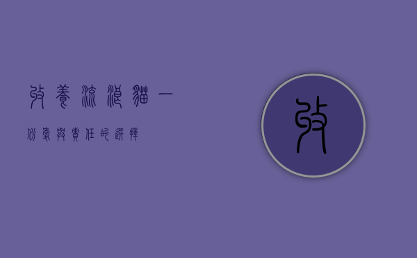 收养流浪猫，一份爱与责任的选择