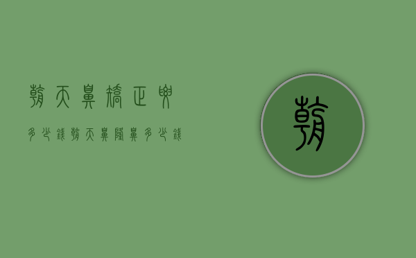 朝天鼻矫正要多少钱（朝天鼻隆鼻多少钱）