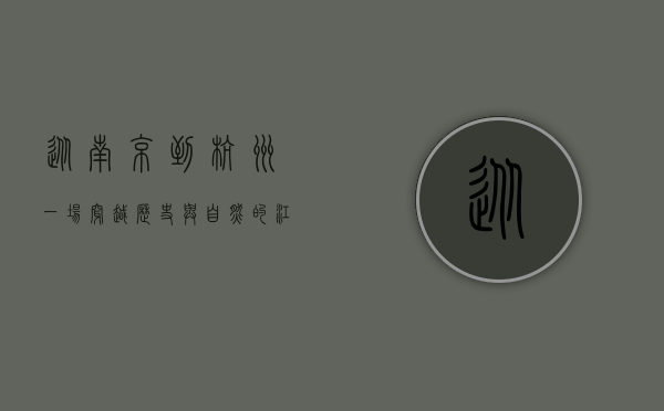 从南京到杭州，一场穿越历史与自然的江南之旅