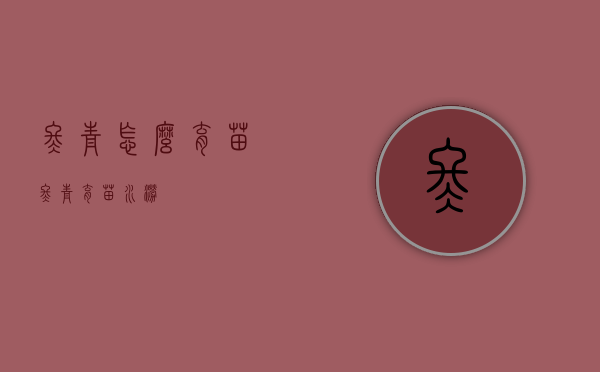 冬青怎么育苗（冬青育苗水涝）