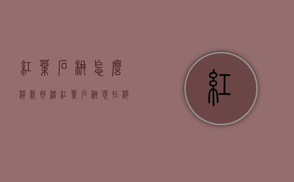 红叶石楠怎么移栽好活（红叶石楠现在移栽能活不）