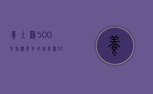 养土鸡500只利润是多少钱（养鸡500只利润大概多少钱）