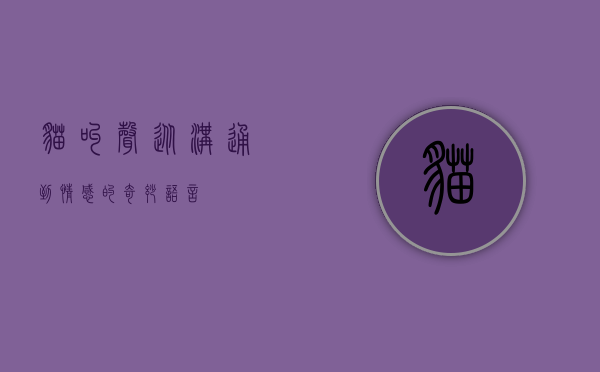 猫叫声，从沟通到情感的奇妙语言