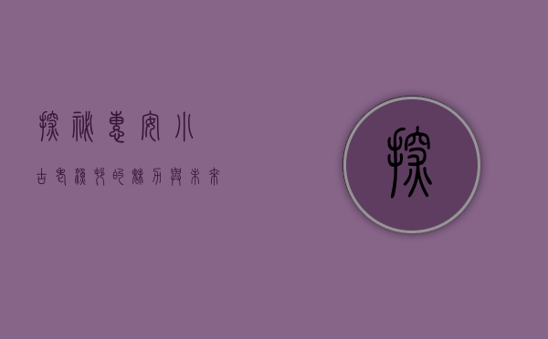 探秘惠安小岞，古老渔村的魅力与未来