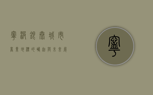 宁波银泰，城市商业地标的崛起与未来展望