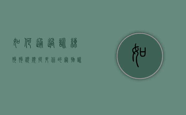 如何通过训练狗狗视频提升你的宠物训练技巧