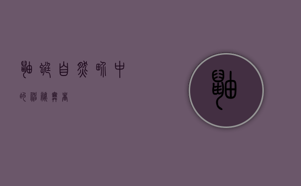 鼬蜓，自然界中的神秘舞者