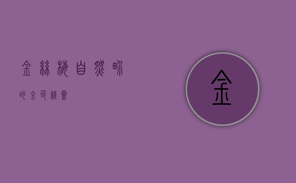 金丝梅，自然界的金色精灵