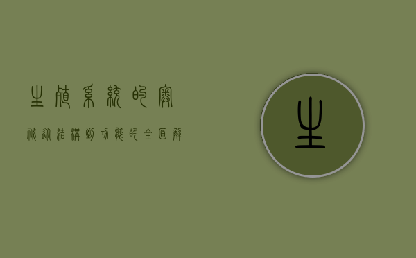 生殖系统的奥秘，从结构到功能的全面解析