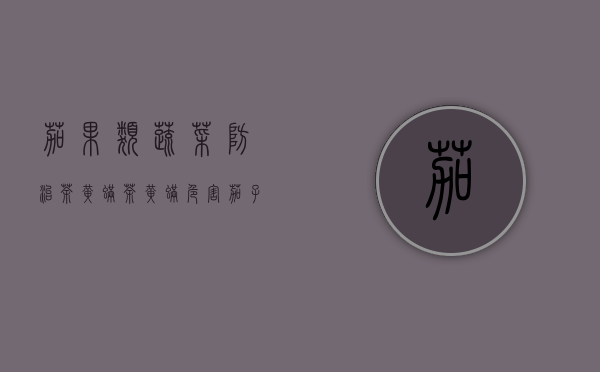 茄果类蔬菜防治茶黄螨（茶黄螨危害茄子）