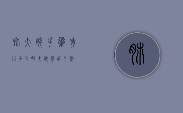 肺大疱手术费用多少（肺大疱微创手术）