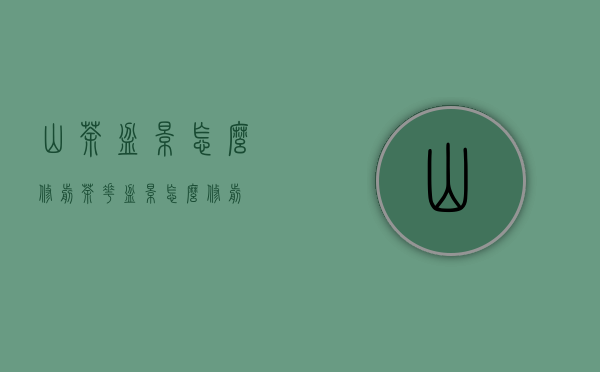 山茶盆景怎么修剪（茶花盆景怎么修剪）