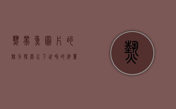 热带鱼图片的魅力，探索水下世界的绚丽色彩