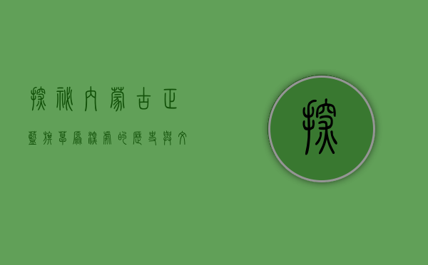 探秘内蒙古正蓝旗，草原深处的历史与文化瑰宝