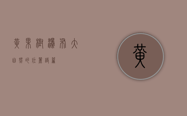 黄果树瀑布，大自然的壮丽诗篇