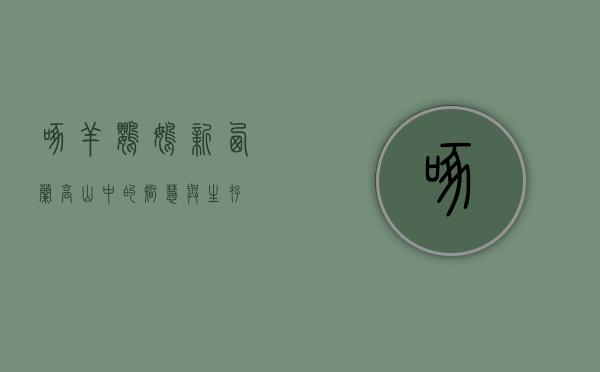 啄羊鹦鹉，新西兰高山中的智慧与生存
