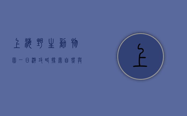 上海野生动物园一日游攻略，探索自然与野生动物的奇妙之旅