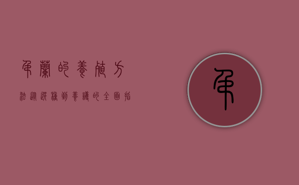 吊兰的养殖方法，从选种到养护的全面指南