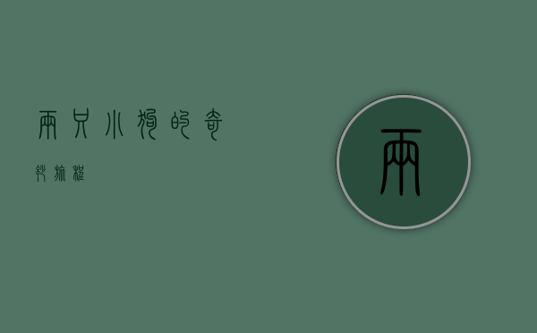 两只小狗的奇妙旅程