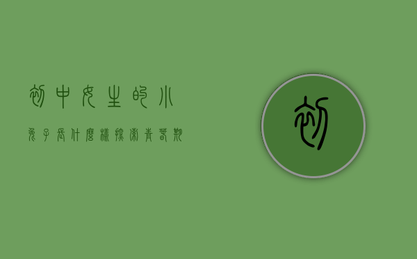 初中女生的小兔子长什么样？探索青春期的萌宠世界