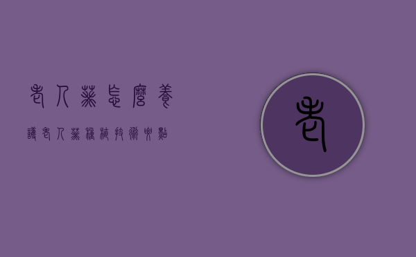 老人葵怎么养护（老人葵种植技术要点）