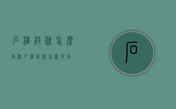 石榴枝条怎么插活（石榴枝条怎样扦插）