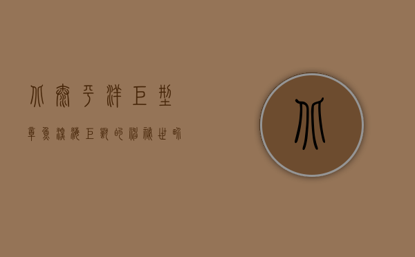 北太平洋巨型章鱼，深海巨兽的神秘世界