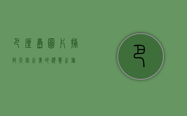 巴厘岛图片，捕捉天堂之美的视觉之旅