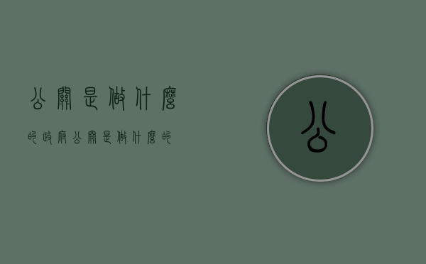 公关是做什么的（政府公关是做什么的）