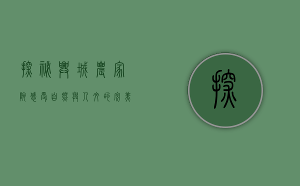 探秘兴城农家院，感受自然与人文的完美交融