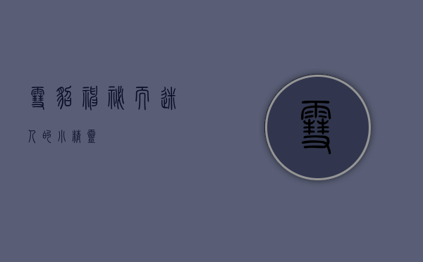 雪貂，神秘而迷人的小精灵