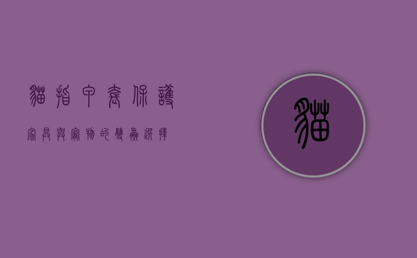 猫指甲套，保护家具与宠物的双赢选择