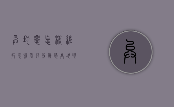 异地恋怎样维持感情 保持新鲜感（异地恋如何保持新鲜？分享经验！）