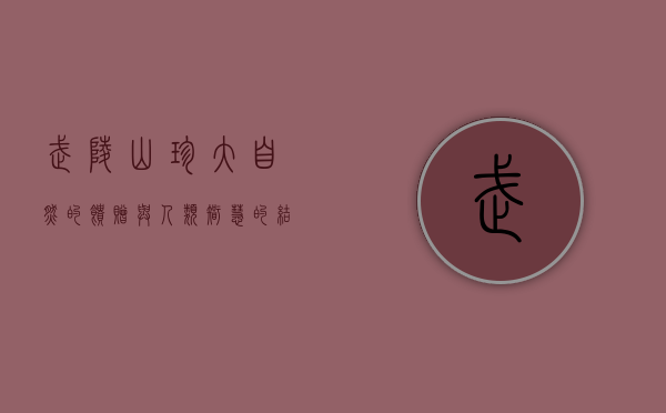 武陵山珍，大自然的馈赠与人类智慧的结晶