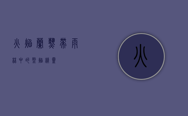 火焰兰，热带雨林中的烈焰精灵
