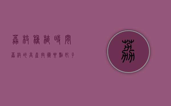 荔枝种植时间 荔枝的高产技术要点（妃子笑荔枝种植技术与管理）