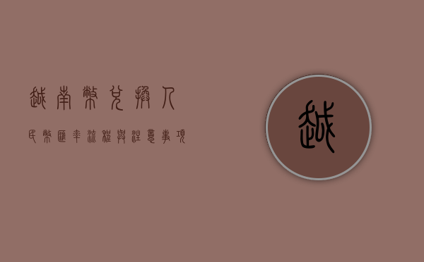 越南币兑换人民币，汇率、流程与注意事项全解析