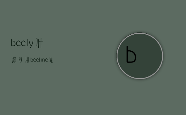 beely什么好用（beeline怎么用）