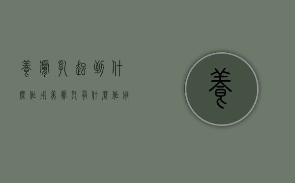 养肤乳起到什么作用（美肤乳有什么作用）