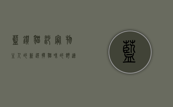 蓝钻猫砂，宠物主人的新选择，猫咪的舒适体验