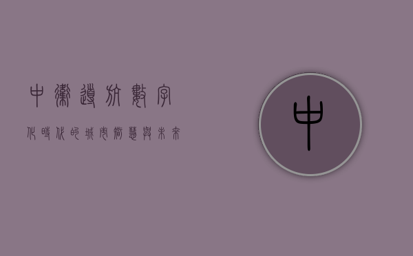 中卫导航，数字化时代的城市智慧与未来蓝图