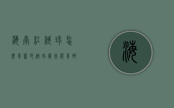 海南红绒球怎么养（蓝色绒球广州能养那吗）