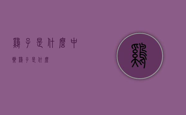 鸡子是什么（中药鸡子是什么）