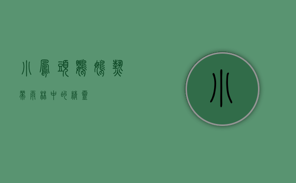 小凤头鹦鹉,热带雨林中的精灵 小凤头鹦鹉,热带雨林中的精灵