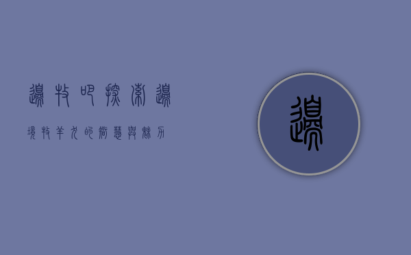 边牧吧，探索边境牧羊犬的智慧与魅力